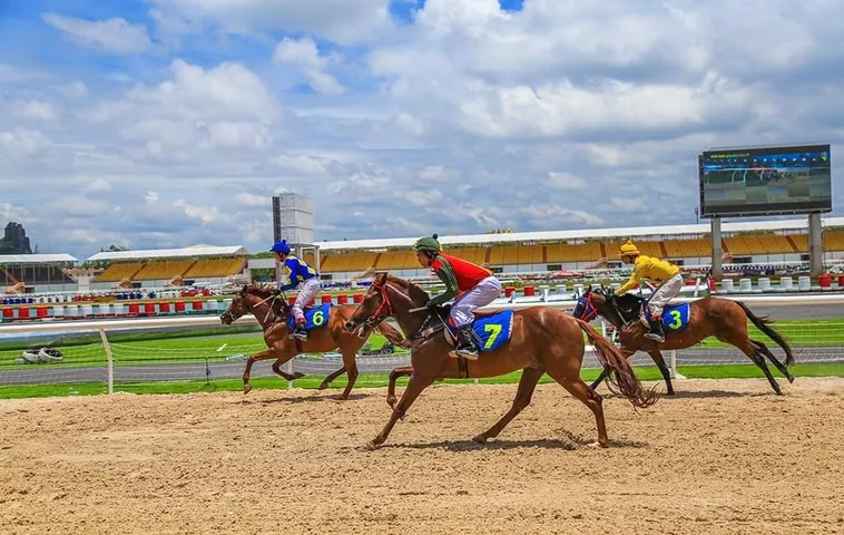 Tìm Hiểu Cá Cược Đua Ngựa New88 Với Cách Chơi Chi Tiết 2 Tìm Hiểu Cá Cược Đua Ngựa New88 Với Cách Chơi Chi Tiết