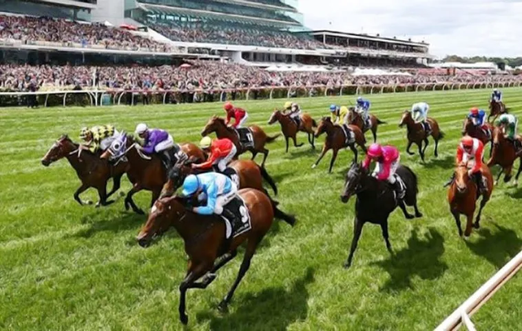 Tìm Hiểu Cá Cược Đua Ngựa New88 Với Cách Chơi Chi Tiết 1 Tìm Hiểu Cá Cược Đua Ngựa New88 Với Cách Chơi Chi Tiết