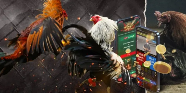 Cách Chơi Đá Gà GA28 Tại New88 Chuẩn Xác Hiểu Quả Dễ Thắng 2 Cách Chơi Đá Gà GA28 Tại New88 Chuẩn Xác Hiểu Quả Dễ Thắng