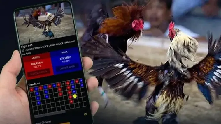 Đá Gà New88 1 Đá Gà New88 Sân Chơi Cá Cược Kịch Tính Với Tỷ Lệ Thắng Cao